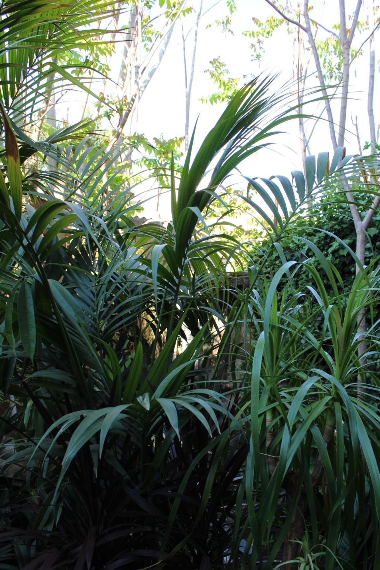 Il Giardino Di Chiara Bed & Breakfast Oristano Bagian luar foto