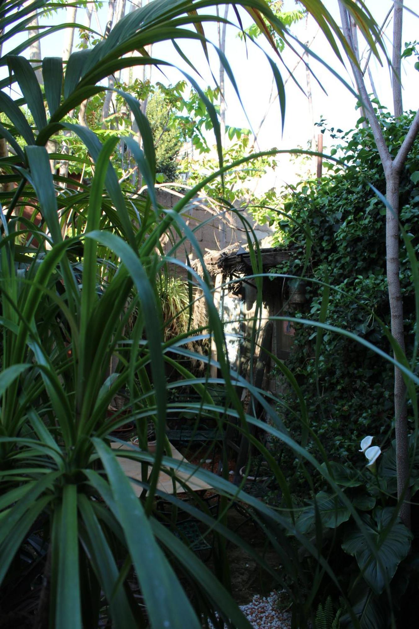 Il Giardino Di Chiara Bed & Breakfast Oristano Bagian luar foto