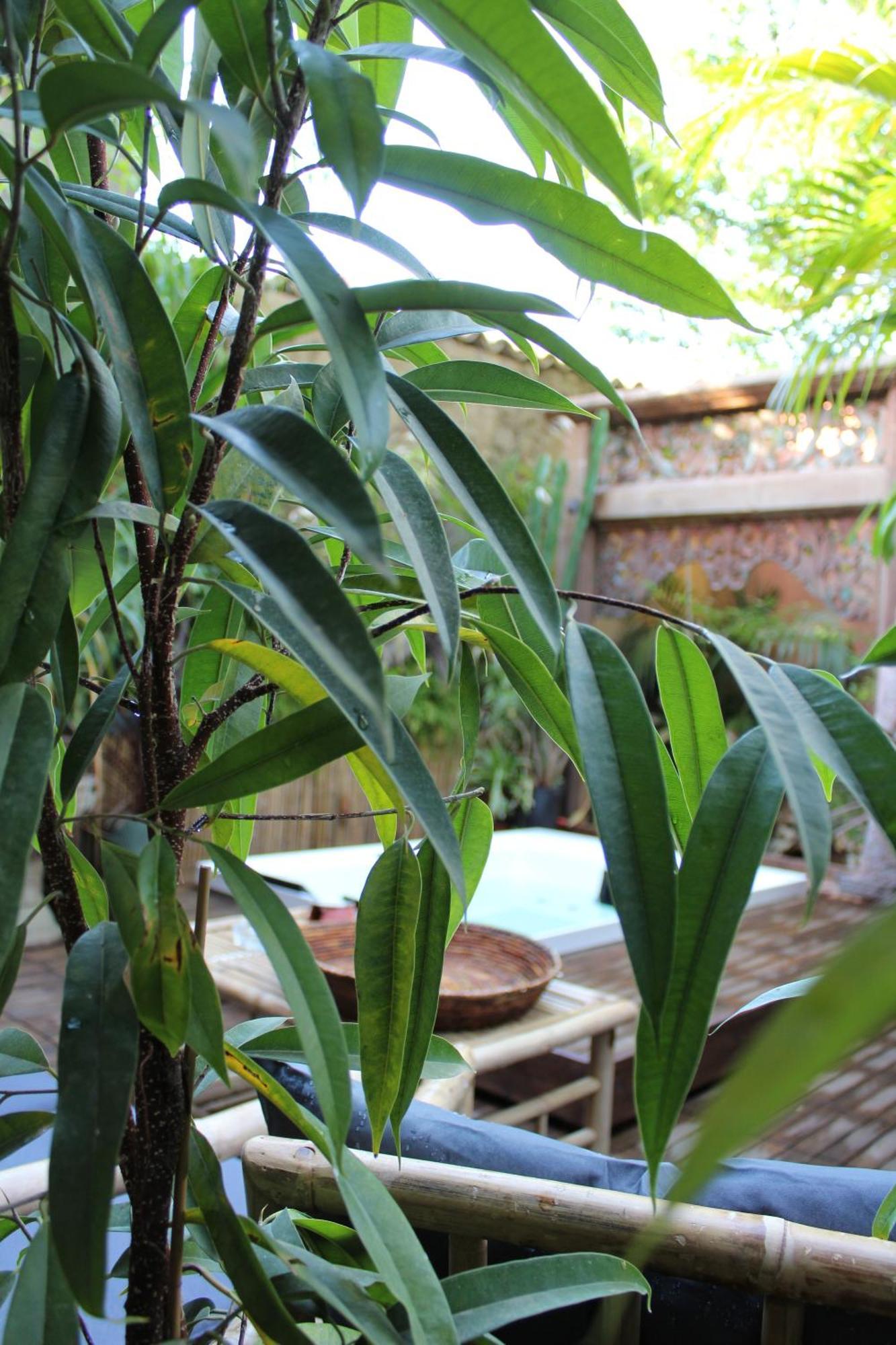 Il Giardino Di Chiara Bed & Breakfast Oristano Bagian luar foto